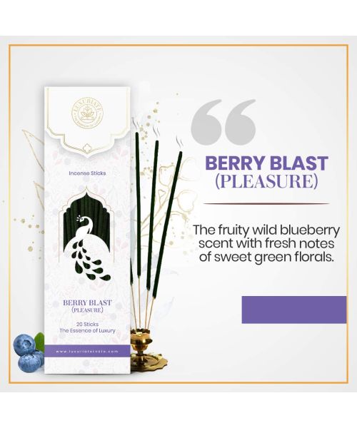 Luxuriate: Berry Blast Fragrance Natural and Non-Toxic Incense Sticks - Contains 20 Incense Sticks