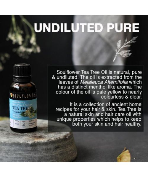 Soulflower: Tea Tree Essential Oil - 30 ml