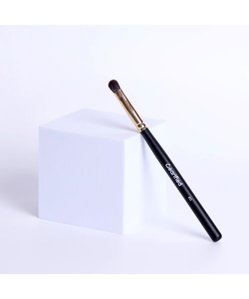 Wearified: Absolute Essentials Makeup Brushes - Set Of 12 with Face and Eyes with Transparent Pouch