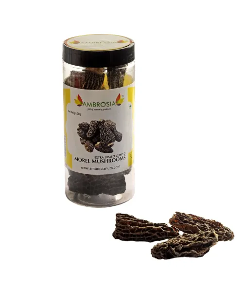 Ambrosia: Dried Morel Mushrooms Jumbos- 30g