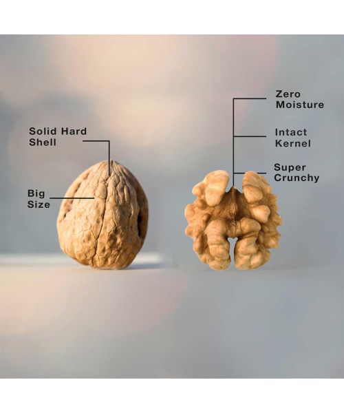 The Daily Nut Co.: Premium Walnuts - Pack of 4 - 200gm each