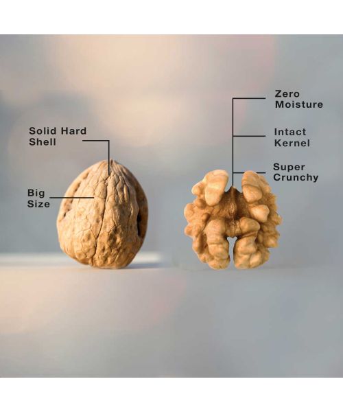 The Daily Nut Co.: California Almond & Walnut Wisdom Combo - Pack of 2 - 200gm each