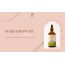 Curl Cure: Hair Growth Elixir- 50ml