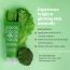 Organic Kitchen: Super Greens Pore Purifying Facial Mask - 100ml