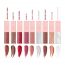 Love Earth: Lip Gloss Pack of 9 Multi Colors - 2 ml each