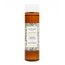 Kitao: Matcha & Chia Essence Lotion - 200ml