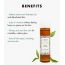 Kitao: Matcha & Chia Essence Lotion - 200ml