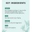 Kitao: Matcha & Chia Night Hydration Mask - 100gm