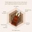 Oattbe: Syn Bio Beta Glucans Serum - 30ml