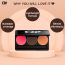 C2P Pro: Pro Basic Trio 1 (Blusher & Contour) - 13gm