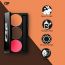 C2P Pro: Pro Basic Trio 1 (Blusher & Contour) - 13gm