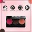 C2P Pro: Pro Basic Trio 2 (Blusher  Contour  Highlighter) - 13gm
