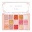 C2P Pro: Pro Pathfinder 15 Color Eye Shadow Palette  Dazzling Daisy 01