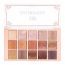 C2P Pro: Pro Pathfinder 15 Color Eye Shadow Palette  Burned Almond 06