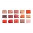 C2P Pro: Pro Pathfinder 15 Color Eye Shadow Palette  Cherry Fuzz 04
