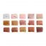 C2P Pro: Pro Pathfinder 15 Color Eye Shadow Palette  Rigid Rose 05