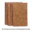 GOLI SODA: Coconut Coir Scrub And Probiotic Dishwash Bar - Exclusive Combo