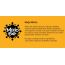 MOJO BAR: Fruit & Nut Bar + Fibre - Pack of 15