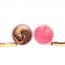 Earthhium: Coffee & Rose Body Scrub - Set of 2