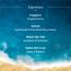 Aqualogica: Radiance+ Dewy Lightweight Sunscreen Gel SPF 50+ PA+++ for Oily & Acne-Prone Skin 50gm