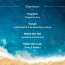 Aqualogica: Radiance+ Dewy Lightweight Sunscreen Gel SPF 50+ PA+++ for Oily & Acne-Prone Skin 50gm