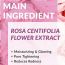 Its Skin: Power 10 Formula VE Effector - 30ml