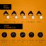 Deconstruct Skincare: Tinted Mineral Sunscreen - SPF 55+ and PA++++ - 50gm