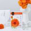 Ariul: 7 Day Mask Calendula + P