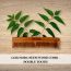 GOLI SODA: Goli Soda Neem Wood Comb Double Tooth - 35gm
