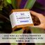 GOLI SODA: Goli Soda All Natural Probiotics Shampoo Bar for Normal Hair - 90gm