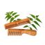 GOLI SODA: Goli Soda Neem Wood Combs - Wide Tooth with Handle & Double Tooth - 55gm