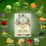 VITMINVEDA: Aloe Vera & Basil Herbal Soap Bar - 125 gm
