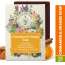 VITMINVEDA: Orange & Cinnamon Herbal Soap Bar - 125 gm