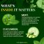 VITMINVEDA: Cucumber & Menthol Herbal Soap Bar - 125 gm