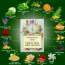 VITMINVEDA: Cucumber & Menthol Herbal Soap Bar - 125 gm