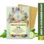 VITMINVEDA: Cucumber & Menthol Herbal Soap Bar - 125 gm