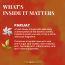 VITMINVEDA: Natural Parijat Herbal Soap Bar - 125 gm