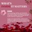 VITMINVEDA: Natural Rose Essence Herbal Soap Bar - 125 gm