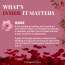 VITMINVEDA: Natural Rose Essence Herbal Soap Bar - 125 gm