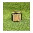 Foodcloud: Natural Forest Honey - 250gm