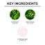Dr. Sheth's: Neem & Salicylic Acid Face Wash - 100gm