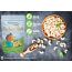 Fabeato: 100% Natural Premium Whole Raw Cashews - 200gm