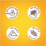 Kikibix: Almond Cashew Cookies - 260 gm (Pack of 2)
