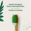 Teeth A Bit: Bamboo Toothbrush Adults Hefty Handle Anti-Plaque Medium Bristles - Pack of 2 (Forest Green)