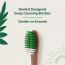 Teeth A Bit: Therapeutic Neem Toothbrush Adult Hefty Handle with Anti-Plaque Medium Bristles - Pack of 2 (Forest Green)