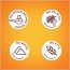 Kikibix: Protein Almond Cookies - 260 gm (Pack of 2)