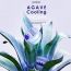 Petitfee: Agave Cooling Hydrogel Eye Mask 5 Blue Energy Complex Patch Pack Of 60 - 84gm