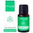 Natural Vibes: Rosemary Pure Essential Oil - 10ml [CLONE]