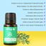 Natural Vibes: Rosemary Pure Essential Oil - 10ml [CLONE]