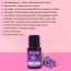 Natural Vibes: Lavender Pure Essential Oil - 10ml [CLONE]